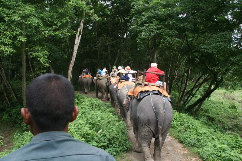 India & Nepal 2011 - 0544